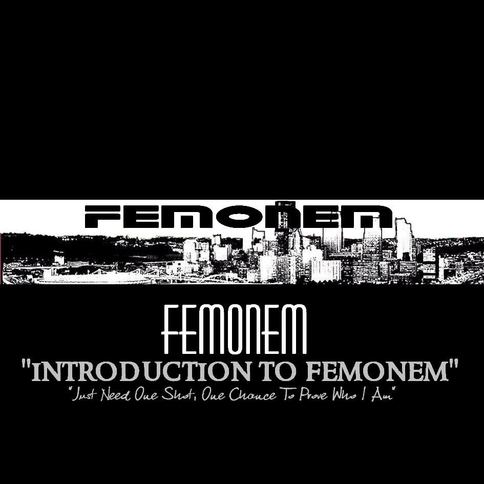 Introduction to Femonem